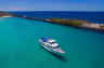 Cruising the shallows