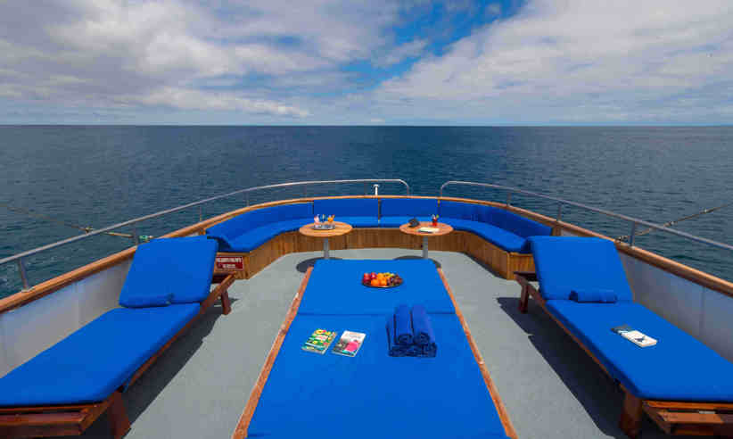 Relax in the sunshine on the sun deck
