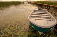 Img 43032 23599