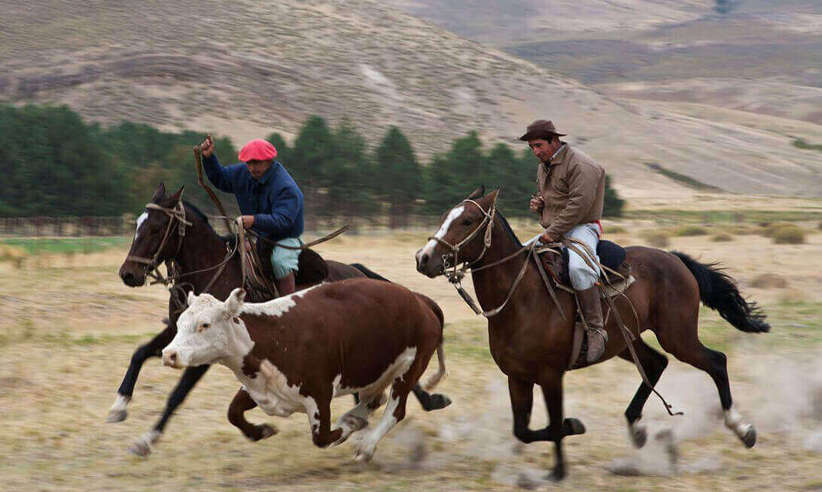 Estancia Huechahue