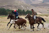 Estancia Huechahue