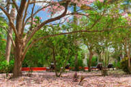 lux1377ag-157186-Pool-Main-Entrance.jpg