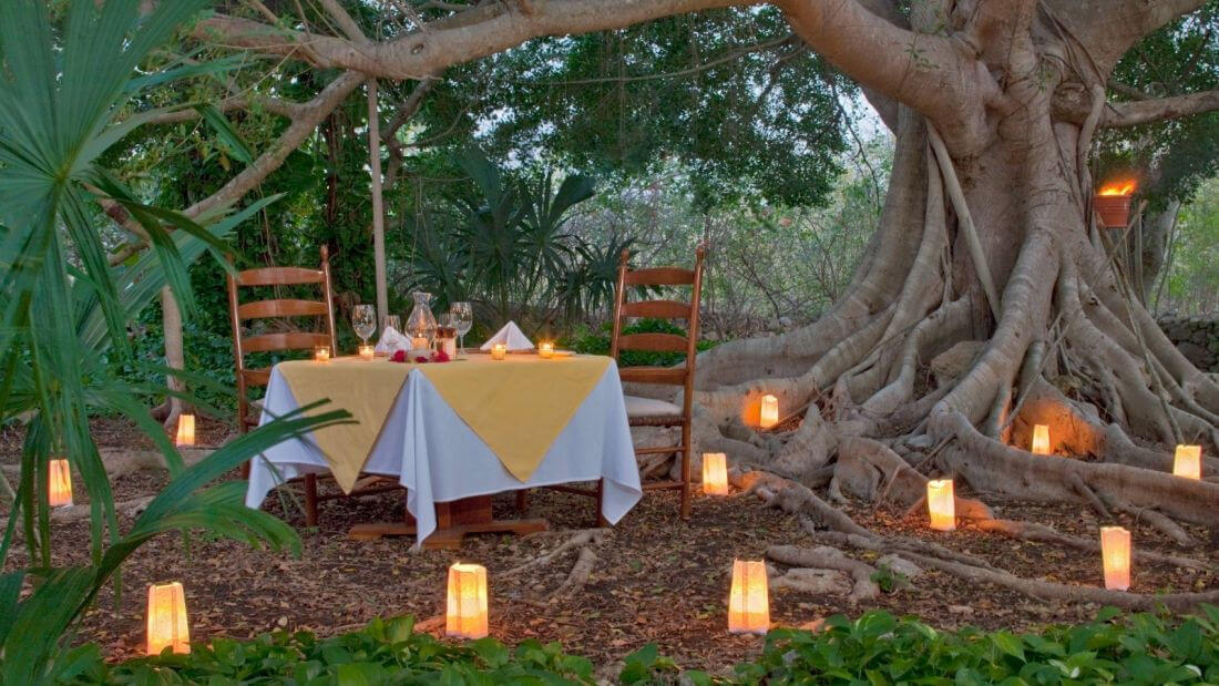 lux1377re-91281-Romantic-dinner.jpg