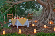 lux1377re-91281-Romantic-dinner.jpg