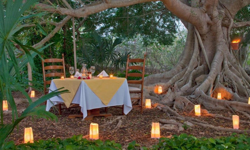 lux1377re-91281-Romantic-dinner.jpg