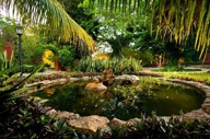 14-patio.jpg