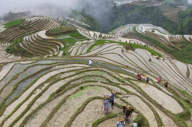 Li An Lodge Longsheng (2).jpg