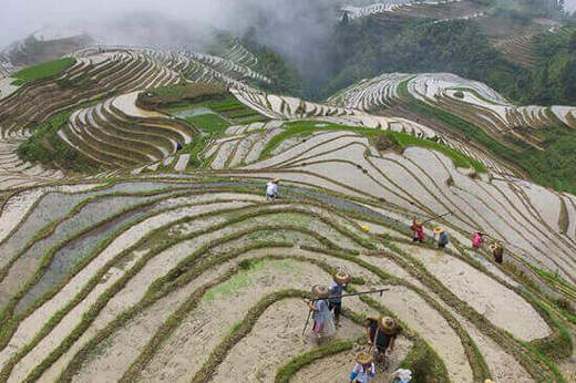 Li An Lodge Longsheng (2).jpg