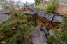 Zen Garden Lion Mountain Yard (6).jpg