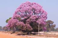 Pousada do Rio Mutum (1).jpg
