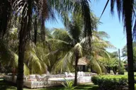 Baia Grande Pantanal (1).jpg