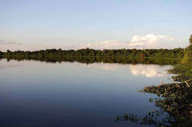 Baia Grande Pantanal (4).jpg