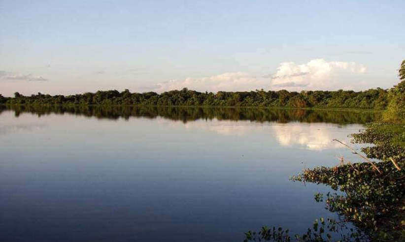 Baia Grande Pantanal (4).jpg