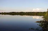 Baia Grande Pantanal (4).jpg
