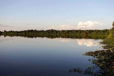 Baia Grande Pantanal (4).jpg
