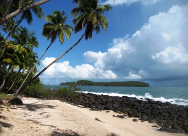 Image for: Guyanas