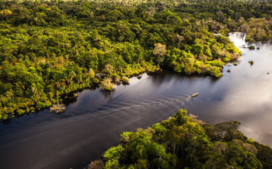 Image for: Brazilian Amazon Lodges