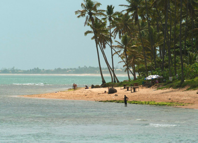 Image for: Praia Do Forte