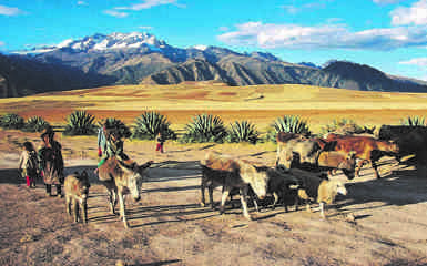 Image for: Sacred Valley of the Incas