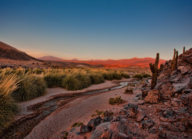 Image for: Atacama Desert