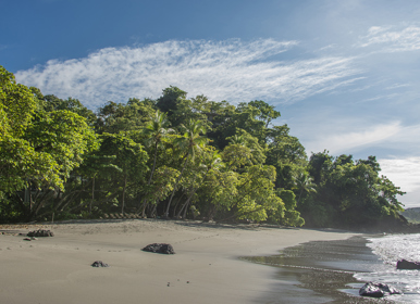Image for: Manuel Antonio National Park