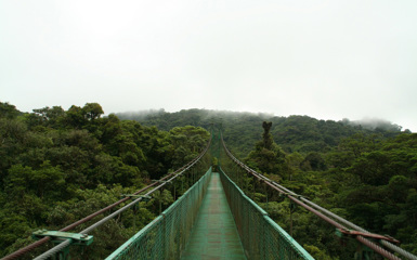 Image for: Monteverde Cloud Forest