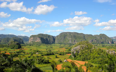 Image for: Vinales