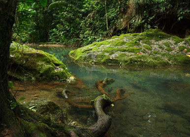 Image for: Chaa Creek