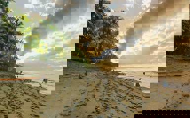 Image for: Playa Ocotal