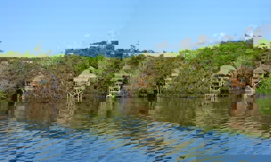 The Juma Lodge Tour - Holidays to Brazilian Amazon Lodges