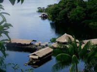 Aerial view of EcoPark floating jungle lodge on the Rio Negro, surrounded by lush Amazon rainforest near Manaus. 