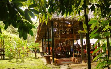 Image for: Posada Amazonas