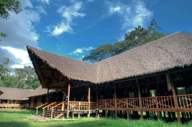 Thatched lodge of Tambopata Research Centre in Peru's Amazon rainforest. 