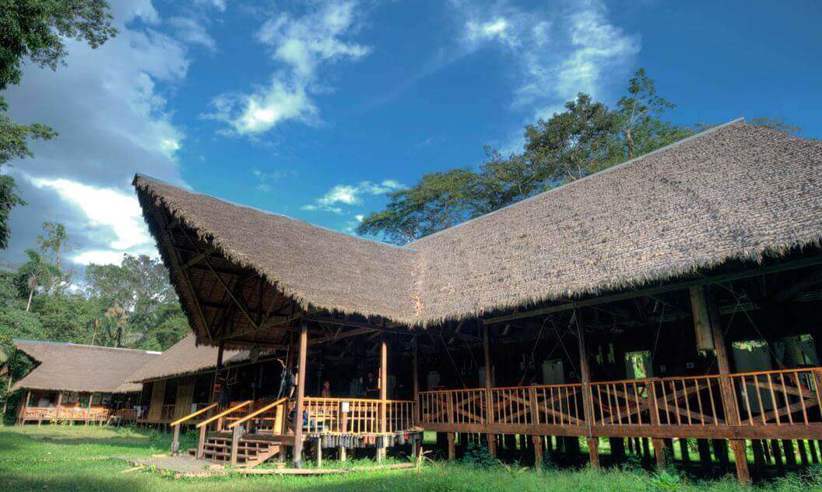Thatched lodge of Tambopata Research Centre in Peru's Amazon rainforest. 