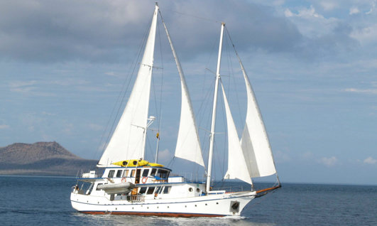 The Cachalote I Tour - Holidays to Galapagos Islands
