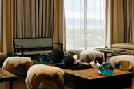Esplendor Hotel, El Calafate
