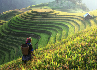 Mandarin Tour - China