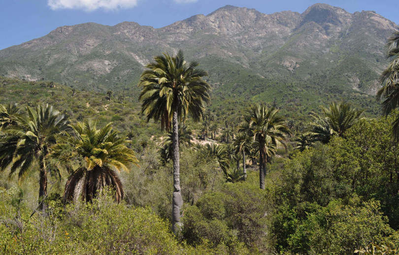 La Campana National Park