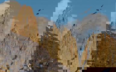Image for: Where to see Condors in South America