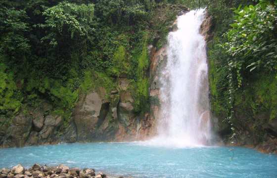 Vivid turquoise waters cascade into Rio Celeste's jungle pool in Tenorio Volcano National Park. 