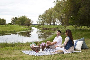 Picnic in the countryside