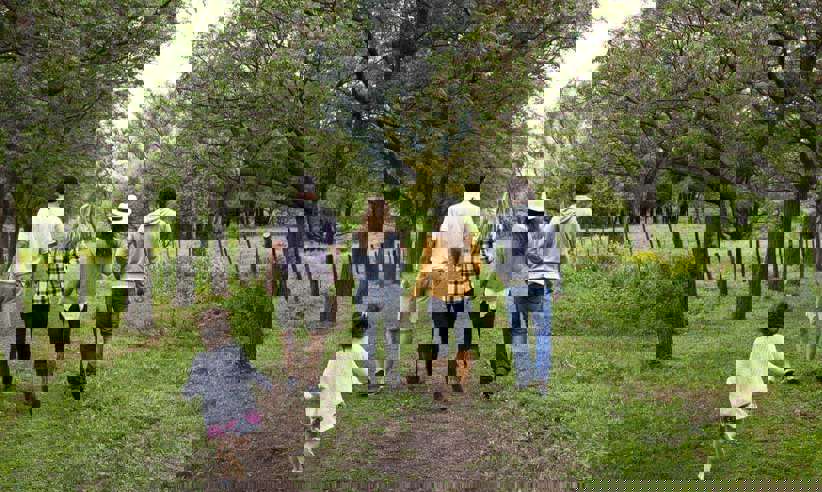 Country walks