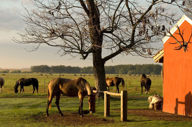 Estancia La Bamba