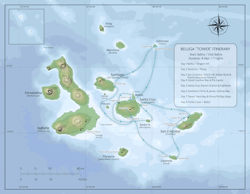 Beluga Tower itinerary