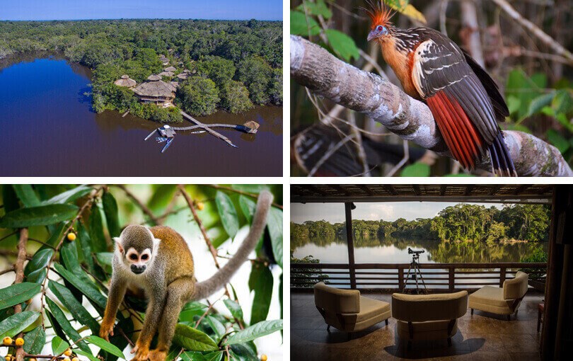 Where to visit in Ecuador - Amazon
