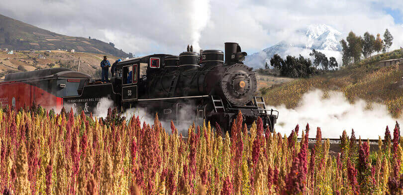 Tren Ecuador - train of wonders