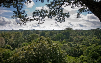 Image for: Venture into the Amazon