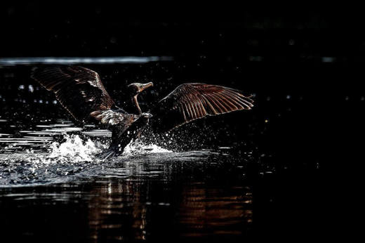 Pousada do Rio Mutum - Pantanal (10).jpg
