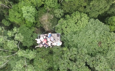 Image for: Top 6 things to do in the Amazon Rainforest