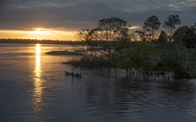 Image for: When to visit the Amazon